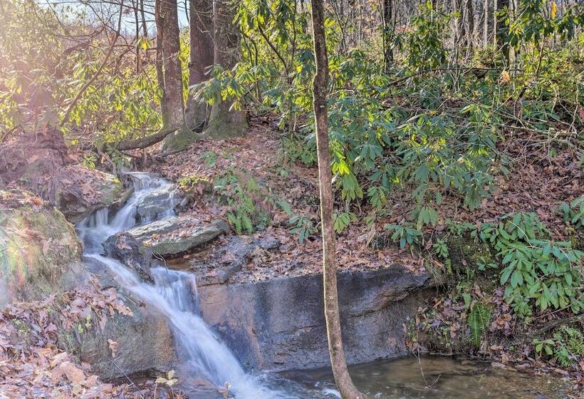 Secluded Black Mountain Cabin W/ On Site Pond!
