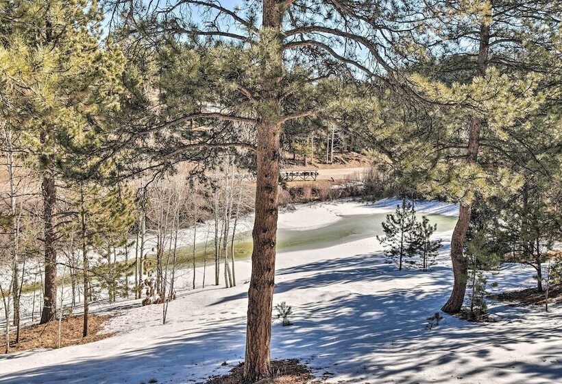 Cozy Mountain Escape: Pet Friendly Bailey Cabin