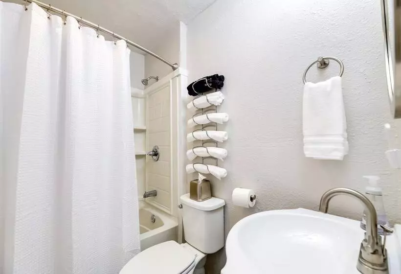 Fayetteville Retreat W/ Yard   Walk To Campus!