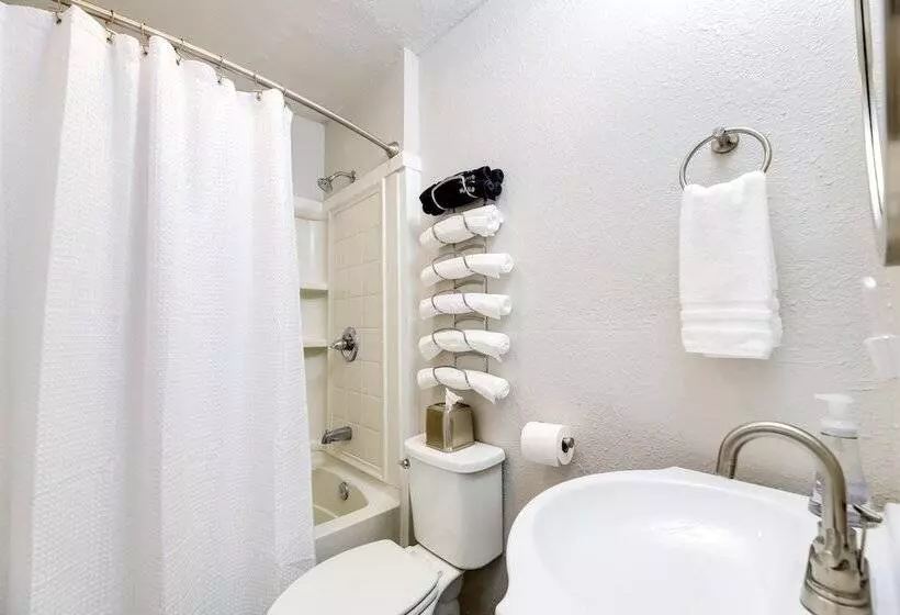 Fayetteville Retreat W/ Yard   Walk To Campus!