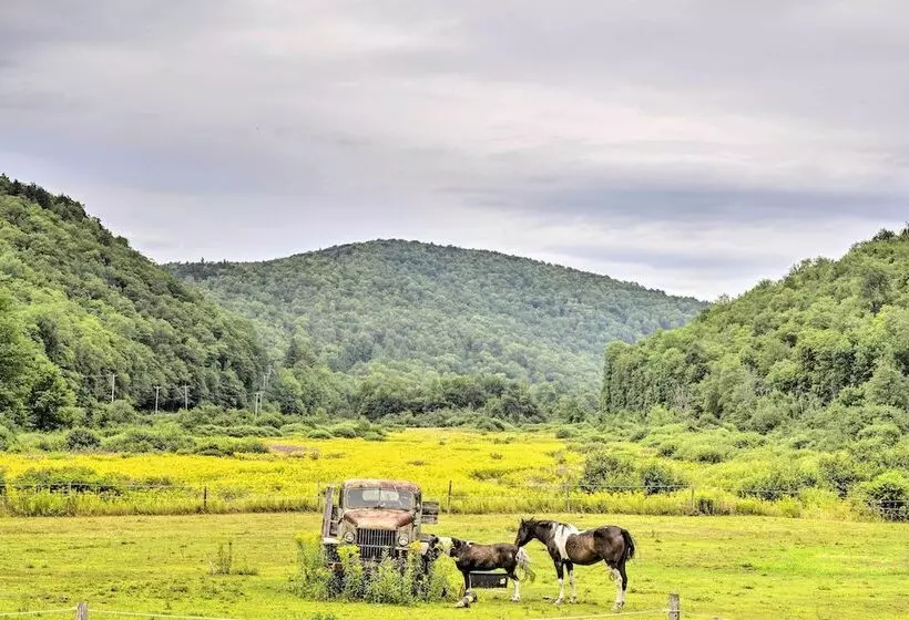 Rustic Roxbury Ski Farmhouse With Trails!
