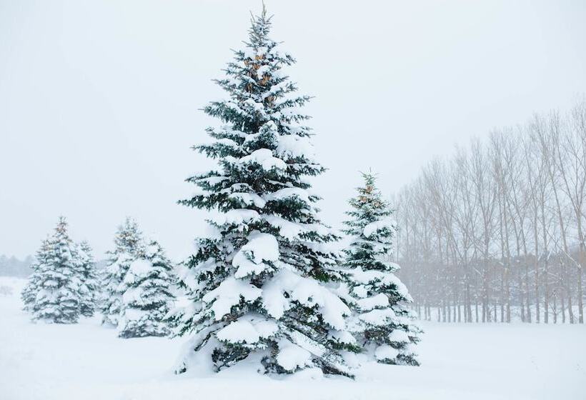 A Breath Of Heaven B&b