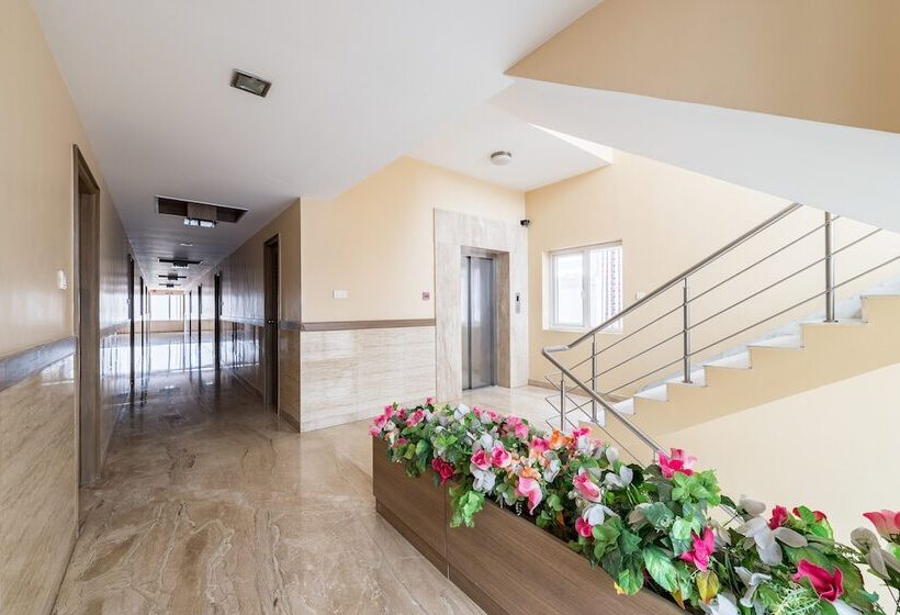 Retkeilymaja Treebo Ess Grande