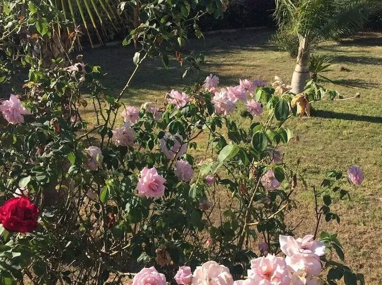 B&b Villa Pimm S