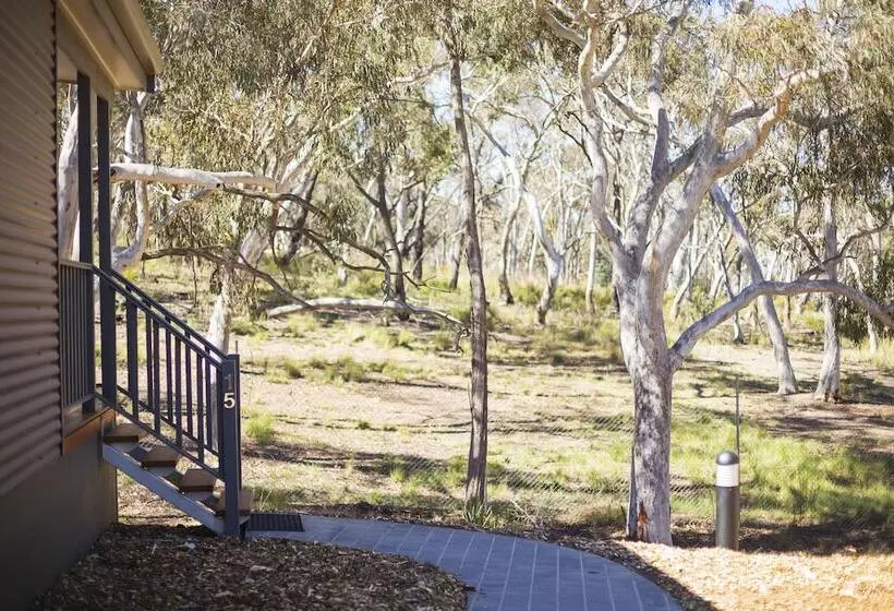 هتل Alivio Tourist Park Canberra