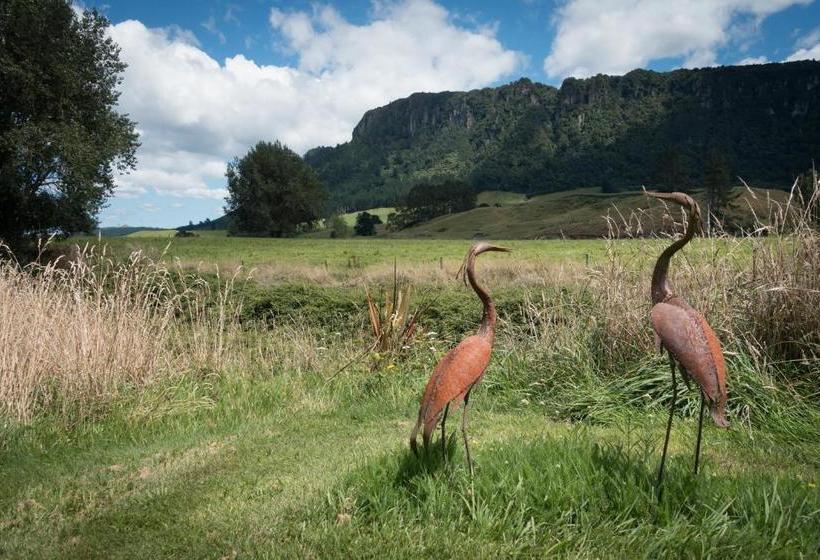 Отель Astelia Lodge