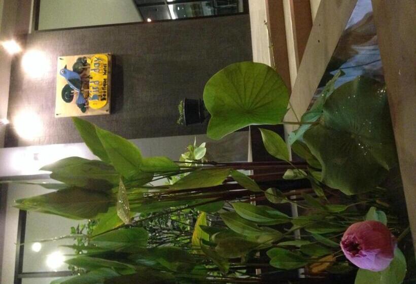 בית מלון כפרי Bird Day Boutique