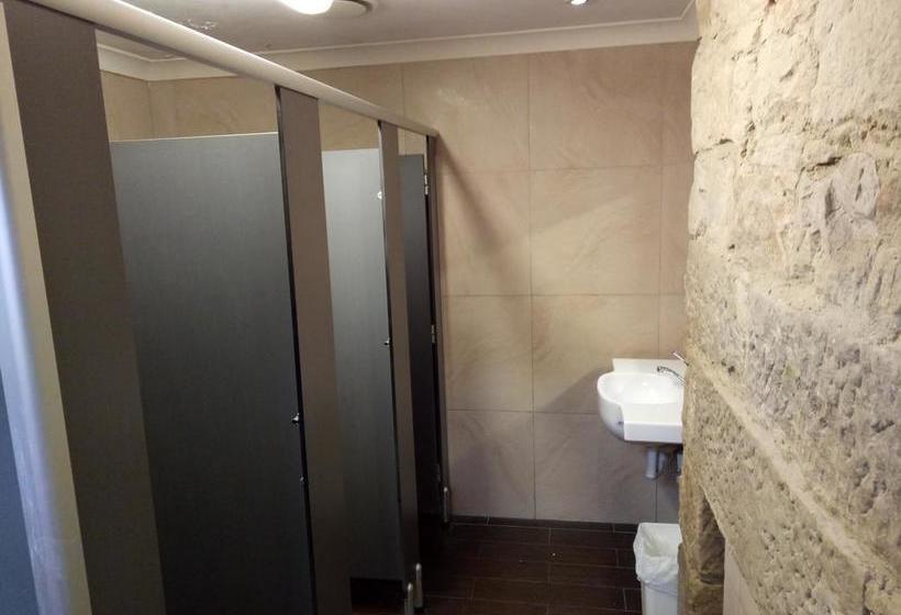 فندق Chiliblue Backpackers & Youth Hostel