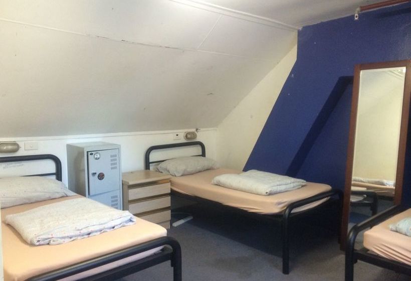 فندق Chiliblue Backpackers & Youth Hostel