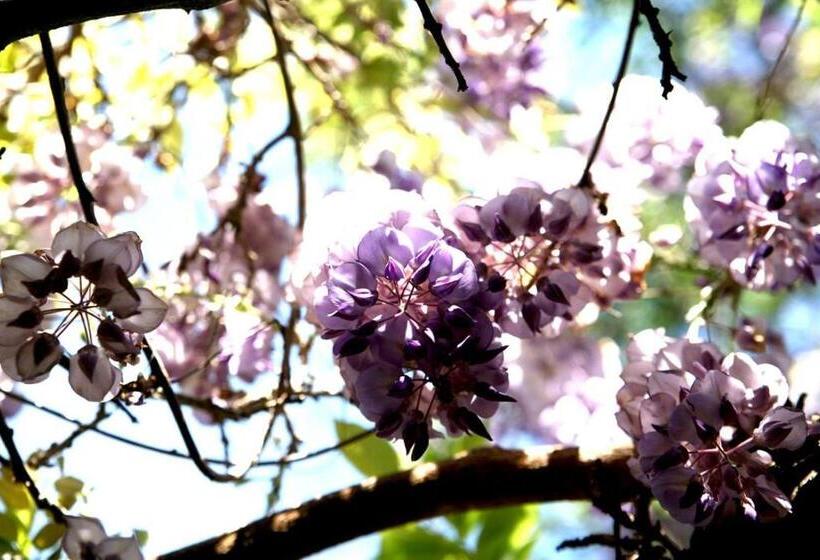 هتل Emblemático Casa Casilda