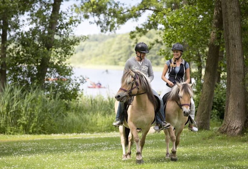 בית מלון כפרי Ferienpark Mirow