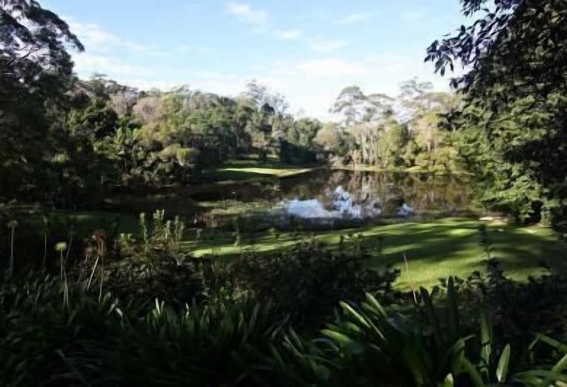 ホテル Montville Country Cabins