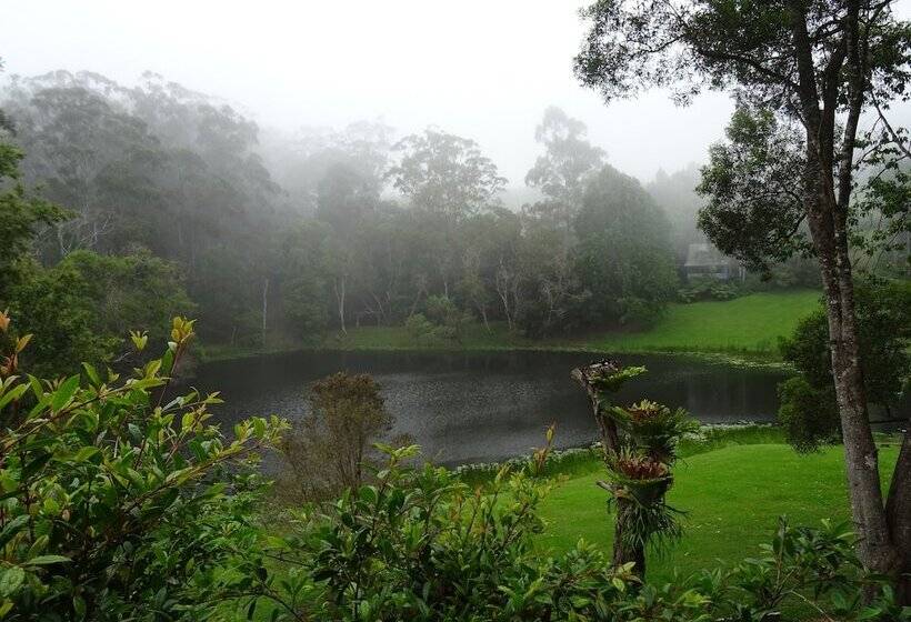 ホテル Montville Country Cabins