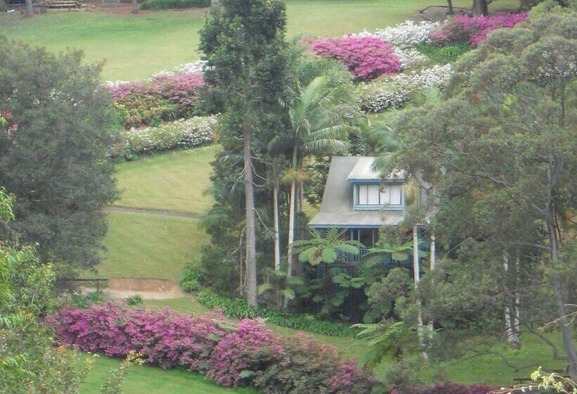 ホテル Montville Country Cabins