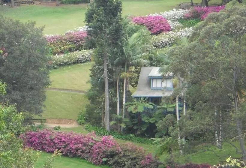ホテル Montville Country Cabins