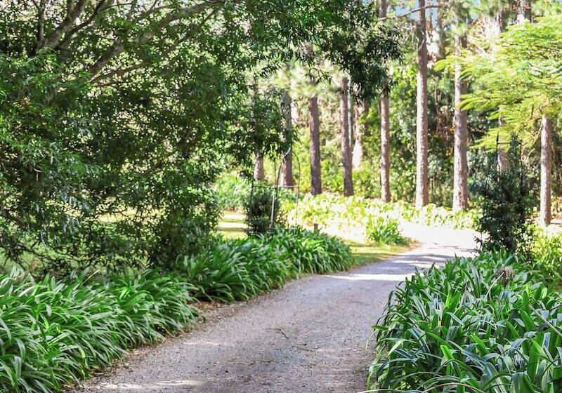 ホテル Montville Country Cabins