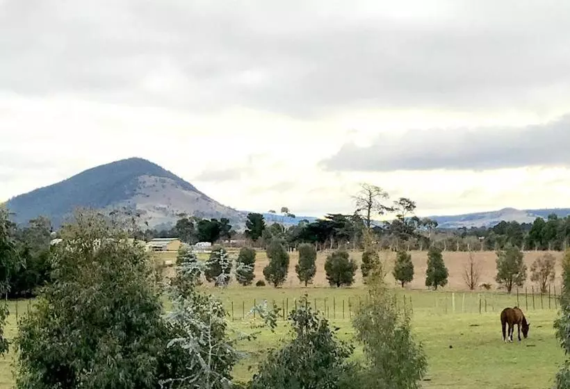 ホテル Taras Richmond Farmstay
