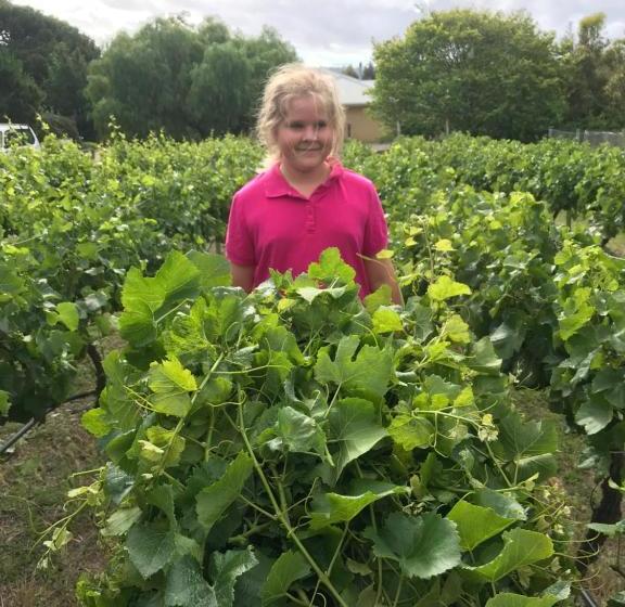 酒店 Taras Richmond Farmstay