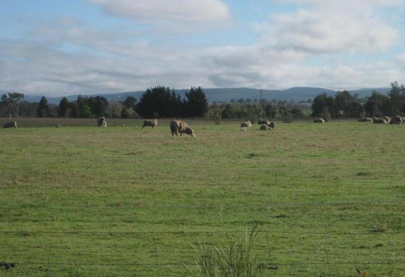 호텔 Taras Richmond Farmstay