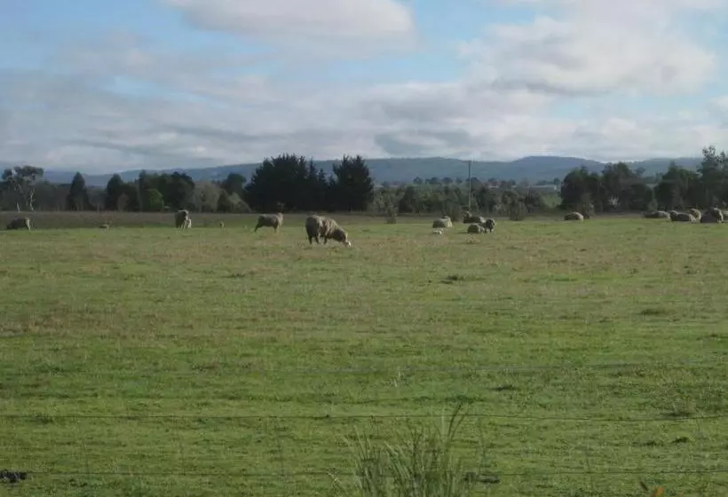 ホテル Taras Richmond Farmstay