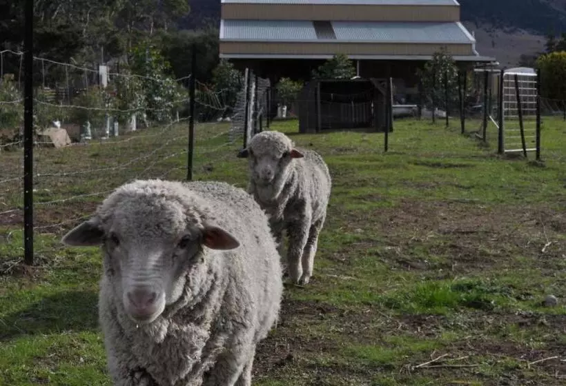 ホテル Taras Richmond Farmstay