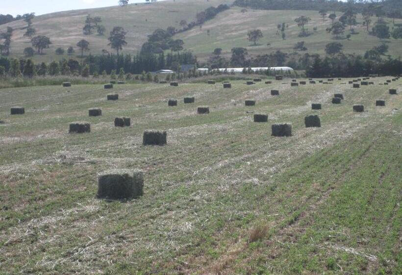 호텔 Taras Richmond Farmstay