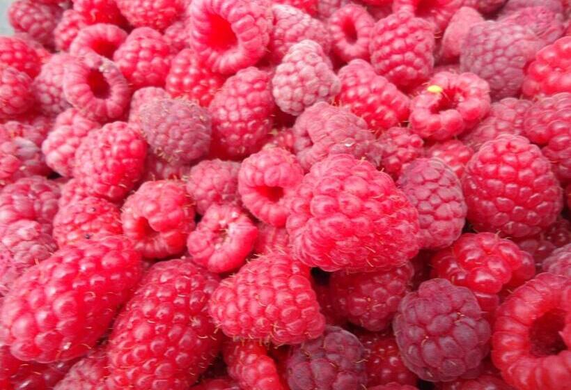 酒店 Taras Richmond Farmstay