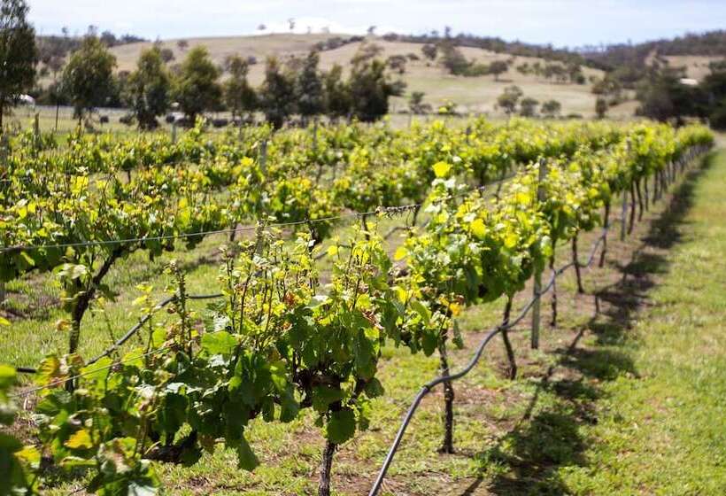 호텔 Taras Richmond Farmstay