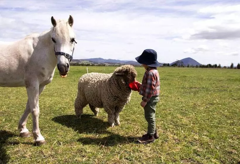 ホテル Taras Richmond Farmstay