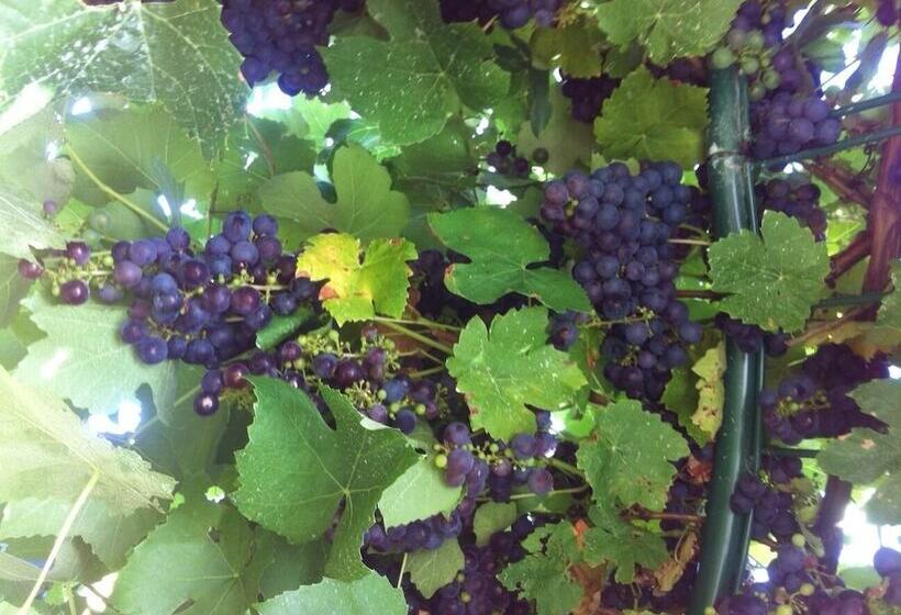 호텔 Taras Richmond Farmstay