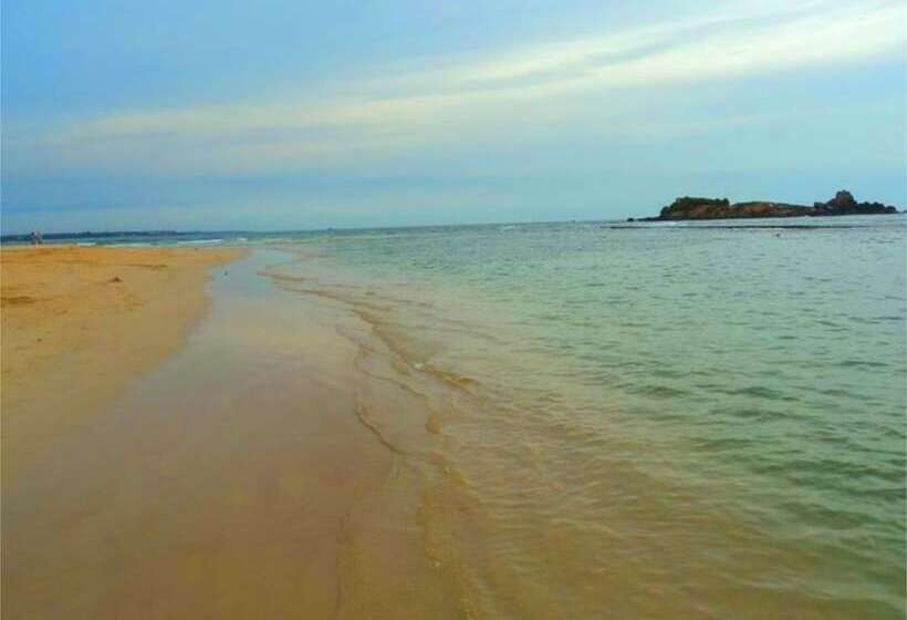 פנסיון Chaya Villa Guest House