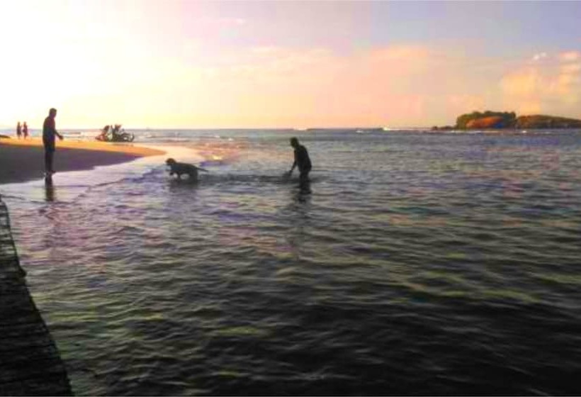 פנסיון Chaya Villa Guest House