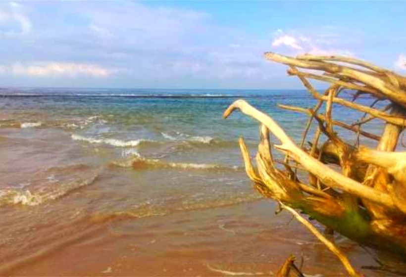 פנסיון Chaya Villa Guest House