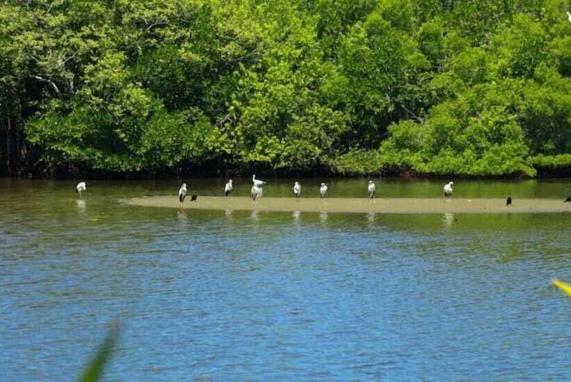 Пансион Panorama Rock Cafe