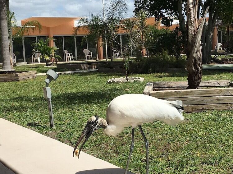 Warm Mineral Springs Motel