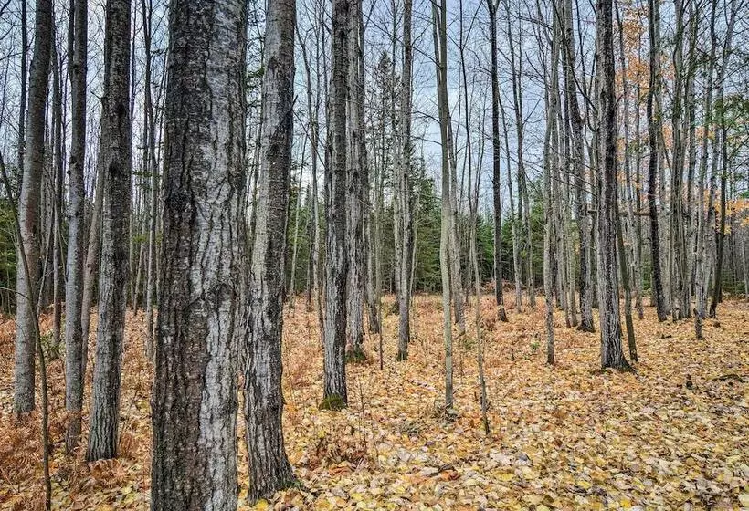 Camp Tony  W/ Trail Access: Walk To Lake Huron!