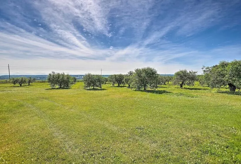 Finger Lakes Farm Retreat: Walk To Wineries!