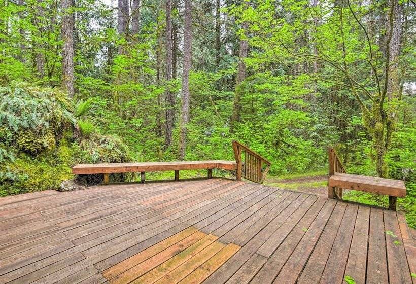 Peaceful Wooded Cabin By Mt. Baker Ski Area!