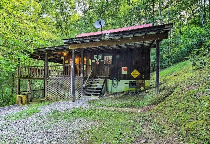 Tellico Plains Cabin   25 Acres, Backyard Creek!