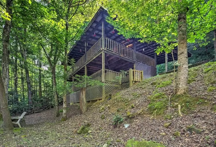 Tellico Plains Cabin   25 Acres, Backyard Creek!