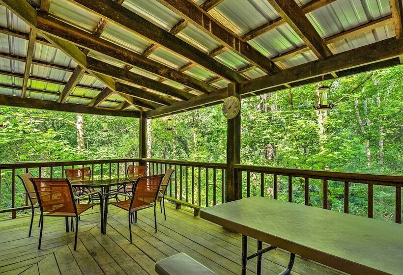 Tellico Plains Cabin 25 Acres, Backyard Creek!