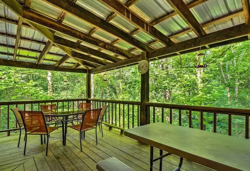 Tellico Plains Cabin   25 Acres, Backyard Creek!