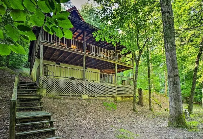 Tellico Plains Cabin   25 Acres, Backyard Creek!