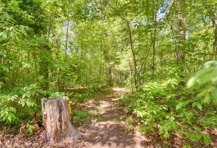 Woodsy Hayesville Home On Jackrabbit Trail!