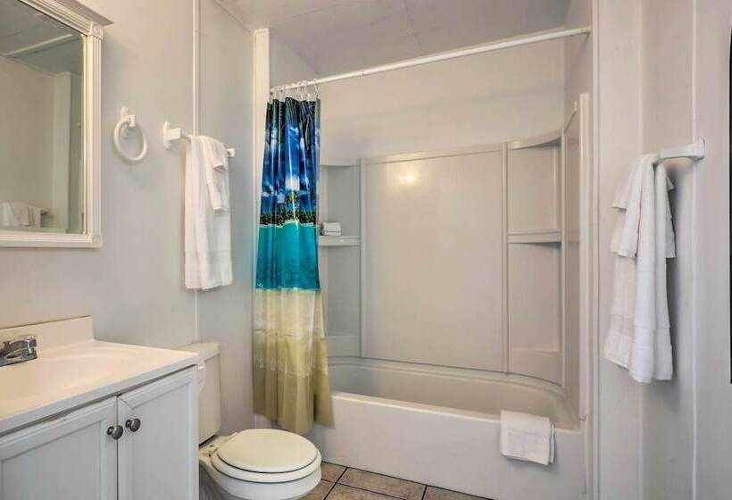 Beachfront Cottage In St Augustine   Pet Friendly!