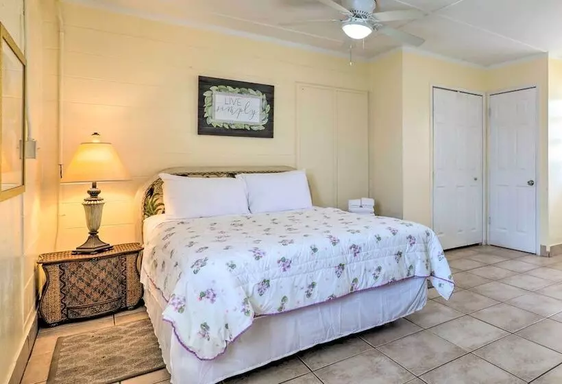 Beachfront Cottage In St Augustine   Pet Friendly!
