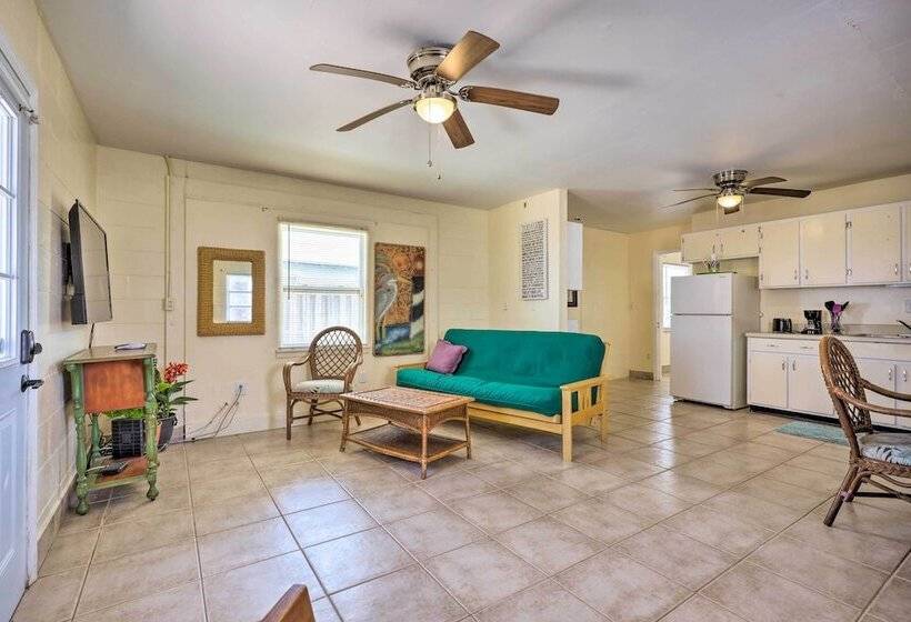 Beachfront Cottage In St Augustine   Pet Friendly!