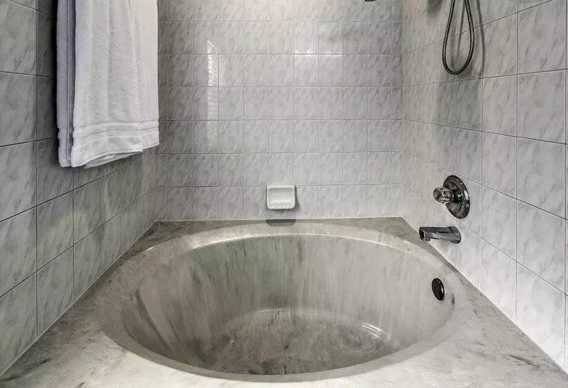 Ocala  Casa Azul : 7 Mi To World Equestrian Center