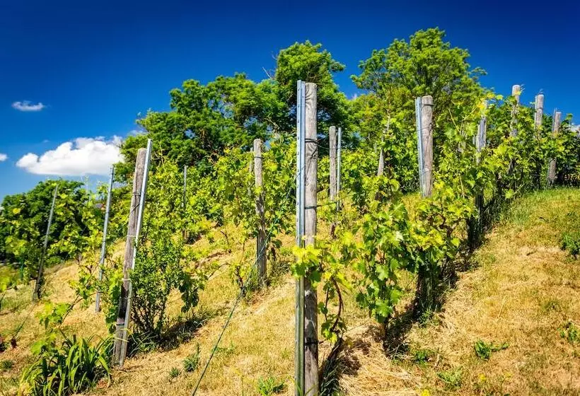 Aamiaismajoitus (B&B) Ferienhof Domäne Groschwitz