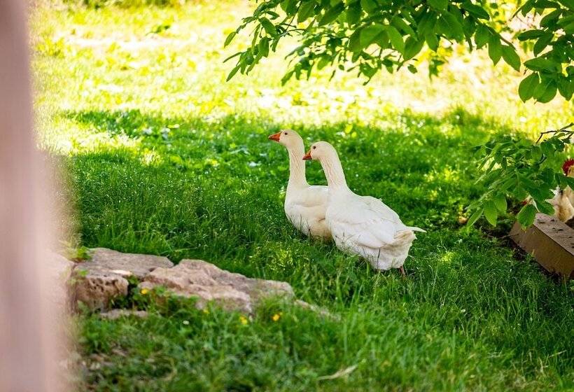 Bed and Breakfast Ferienhof Domäne Groschwitz